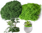 Fake Moss for Plants Indoor, 3.5OZ Dual-Color Artificial Moss for Crafts by Unknown