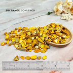 Natural Crushed Shells Chips Irregular Mother of Pearl Seashell Fragments Sea - Image 2