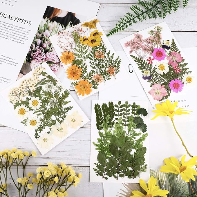 Nuanchu Dried Pressed Flowers for Craft Resin Real Flat Dried Flowers Leaves - Image 2