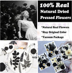 132Pcs Black Pressed Dried Flowers and Butterfly - Image 2