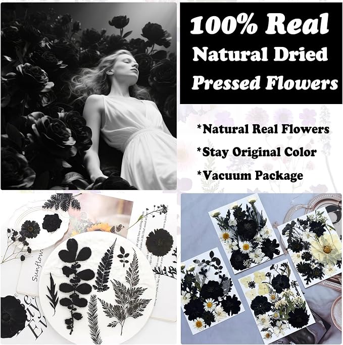 132Pcs Black Pressed Dried Flowers and Butterfly - Image 2