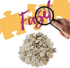 100 Pcs Unfinished Wooden Cutouts - Image 3