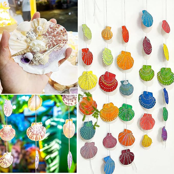 48 PCS Scallop Shells Natural Seashell, Fish Tank and Vase Filler - Image 6