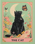 xackcme Cat Paint by Numbers for Adults by xackcme