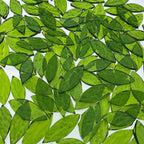LITMIND 120 Pieces Olive Green Textured Transparent Mosaic Glass Petals & - Image 3