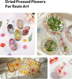 Dried Flowers, Resiners 100Pcs Pressed Flowers - Image 7