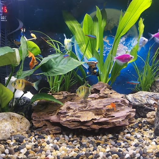 20LB Aquarium Gravel, 1/4" Pea Gravel - Image 3