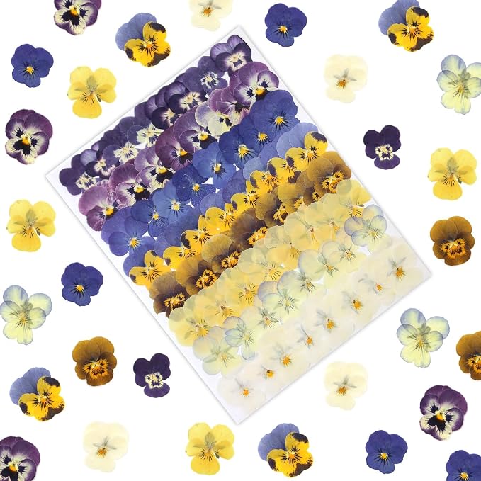 LUXEEASE 8 Color 64P Pansy Dried Pressed Flowers | Iconic face markings by LUXEEASE