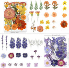 LUXEEASE 4-Color 80P Natural Dried Pressed Flowers | Orange purple pink white - Image 2