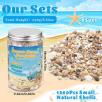 1200 Pcs Tiny Sea Shells, Seashells - Image 2