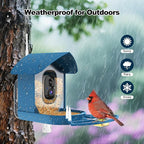 Bird Feeder with Camera, FHD Live View Video, Smart WiFi Bird Feeder Camera - Image 5