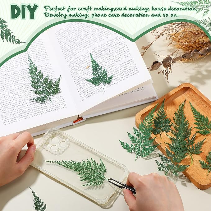 200 Pcs Dried Pressed Green Leaves Flowers Small Dry Preserved Natural Ferns - Image 6