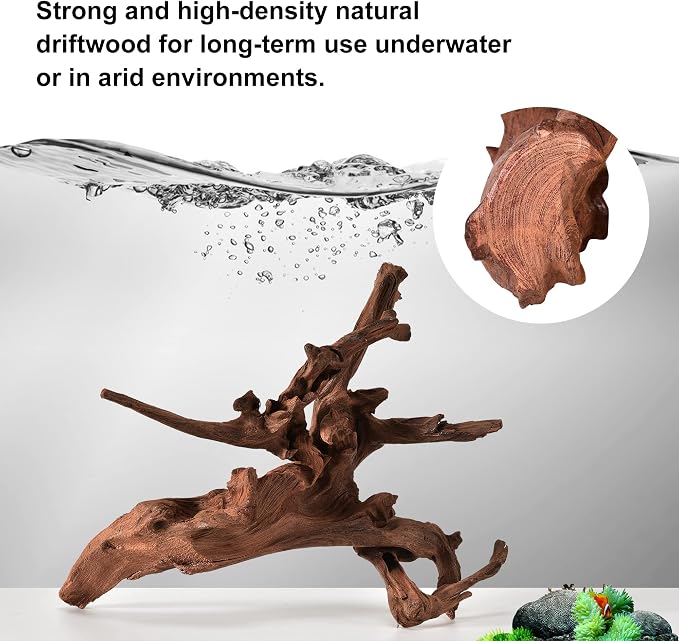 majoywoo Natural Small Coral Driftwood - Image 3