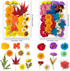 191PCS Real Nature Dried Pressed Flowers - Image 3