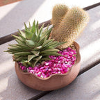 Crushed Shells for Crafts, Sea Shells for Decorating Wedding Vase Fillers Table - Image 7