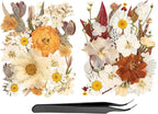50pcs Boho Pressed Flowers Bulk, Vintage Dried Flower Leaves, Natural Fall by LGFMGWH