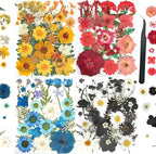 110+PCS Pressed Flowers for Resin, Colorful-B | Real Dried Flower Leaves by nisetten