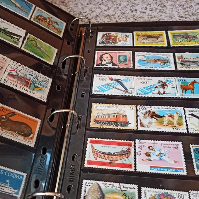 MUQING Stamp Album Pages, Stamp Storage Holder, Stamp Collecting Display - Image 6