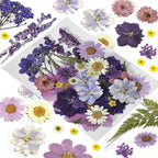 Pressed Flowers Purple 33 Pcs of 12 Types | Real Dried Flowers by CONVELIFE