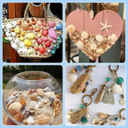 Beadthoven Box of 117pcs Natural Clam Shell Pendants 21.5-24.5x8.5-11.5 Beach - Image 5