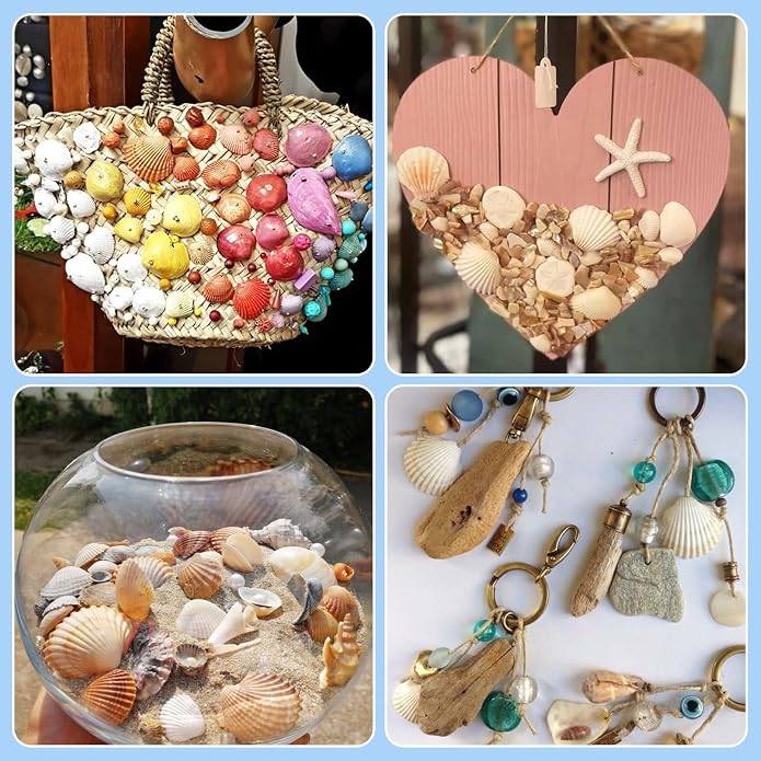 Beadthoven Box of 117pcs Natural Clam Shell Pendants 21.5-24.5x8.5-11.5 Beach - Image 5