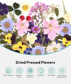 Dried Flowers, Resiners 58Pcs Pressed Flowers - Image 4
