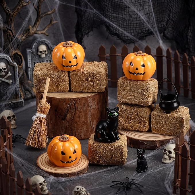 Wesiti 14 Pcs Halloween Village Accessories Set Halloween Miniature Figurines - Image 7