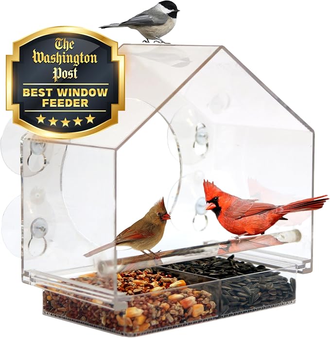 Nature Anywhere Window Bird Feeder by NatureAnywhere