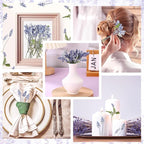 Wavwavw 200 Pcs Pressed Dried Lavender Flowers Stems Natural Preserved Real - Image 5