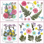 Nuanchu Pastel Dried Flower for Crafts Resin Pressed Flowers Bulk Real Dried - Image 3