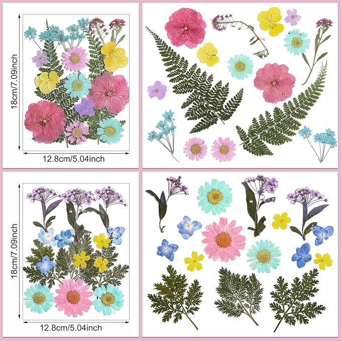 Nuanchu Pastel Dried Flower for Crafts Resin Pressed Flowers Bulk Real Dried - Image 3