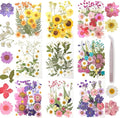 200Pcs Dried Pressed Flowers Resin Mould Real Flowers Natural Dry Leaves Bulk by Gvhntk