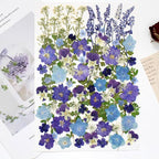 100 PCS Real Dried Pressed Flowers Leaves Natural Plant Herbarium - Image 2