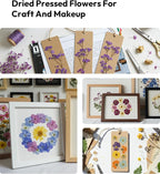 Dried Flowers, Resiners 100Pcs Pressed Flowers - Image 8