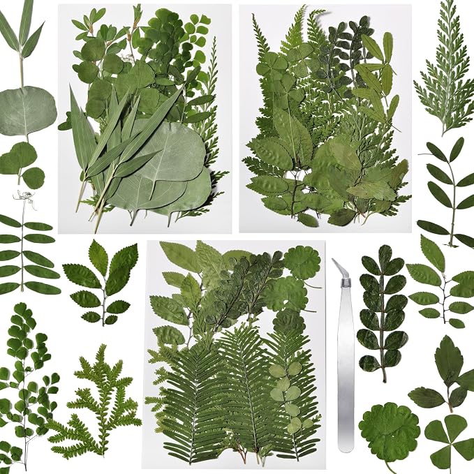 63 Pcs Dried Flowers for Resin | 21 Styles Pressed Leaves, Natural Dry Leaves by CONVELIFE