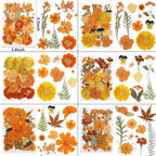 NESCCI 350 Pcs Orange Fall Dried Flowers - Image 2
