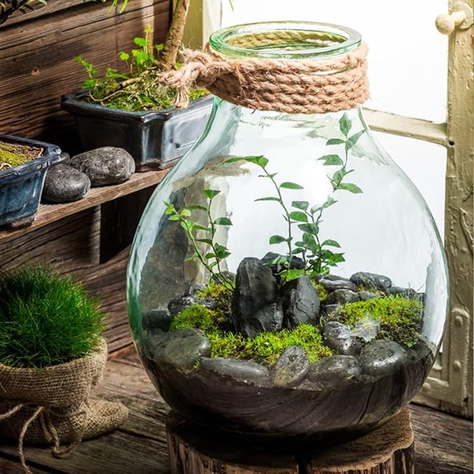 FANTIAN 20 lbs Black River Rocks - Image 4