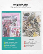 Dried Flowers, Resiners 100Pcs Pressed Flowers - Image 6