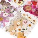 110 PCS Pressed Flowers for Resin molds Real Dried Flower Leaves for Resin - Image 4