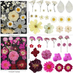 285Pcs 9 Packs Mixed Types Real Natural Dried Pressed Flowers & Leaves - Image 4