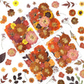 LUXEEASE 100P Autumn Dried Pressed Flowers, Warm Tone | Rust orange burgundy by LUXEEASE