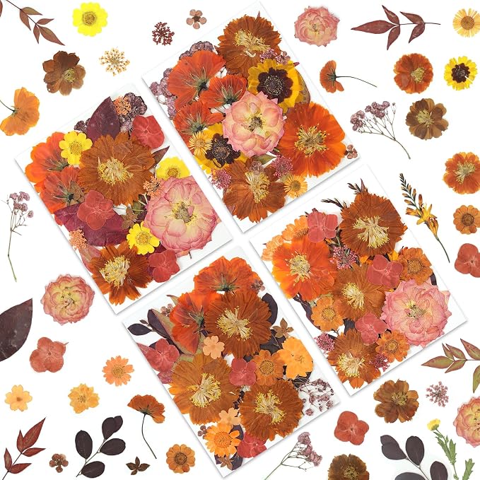 LUXEEASE 100P Autumn Dried Pressed Flowers, Warm Tone | Rust orange burgundy by LUXEEASE