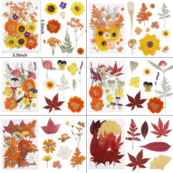 NESCCI 277 Pcs Autumn Dried Flowers - Image 3