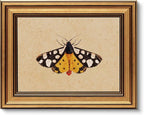 VIYYIEA Vintage Gold Framed Wall Art by VIYYIEAART