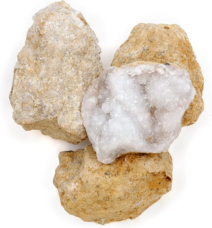 DANCING BEAR 25 Break Your Own Geodes, 90% Hollow, Crack Open & Discover - Image 8