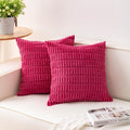 Aegero Pack of 2 Corduroy Decorative Throw Pillow Covers 20x20 Inch Soft by Unknown