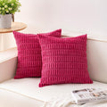 Aegero Pack of 2 Corduroy Decorative Throw Pillow Covers 24x24 Inch Soft by Unknown