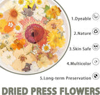 Dried Pressed Flowers Real Pressed Flowers Natural Dry Leaves Bulk Mixed - Image 3