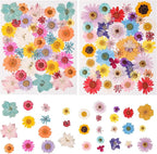80PCS Multicolor Pressed Dried Flowers Dry Leaves | by nisetten