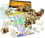 DANCING BEAR Fossil Collection Sorting Activity Kit by DancingBear